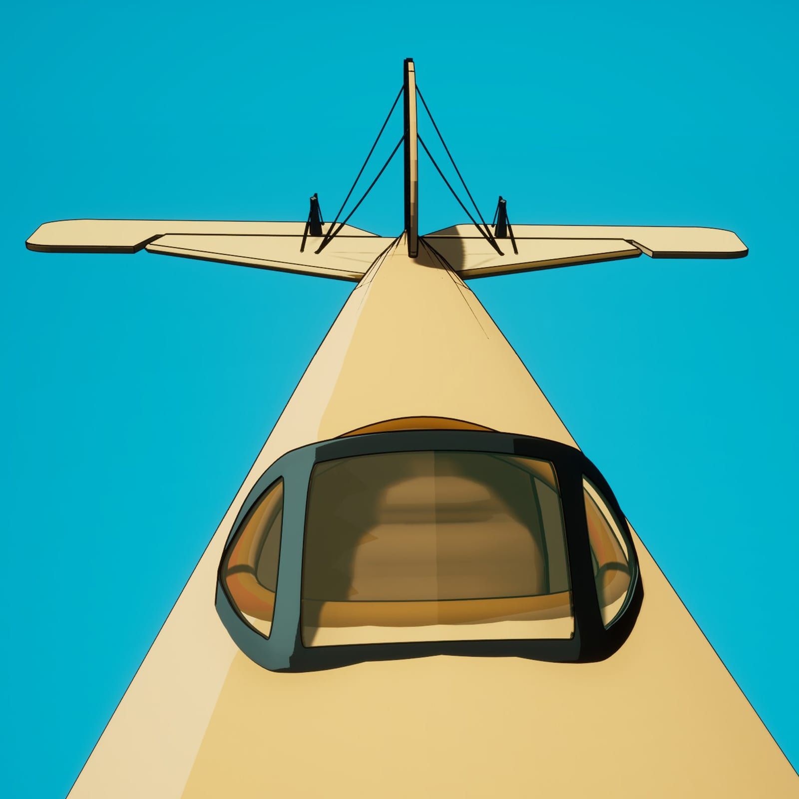 Le biplan vu de dessus, ses deux ailes et ses haubans